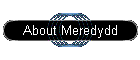 About Meredydd
