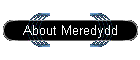About Meredydd